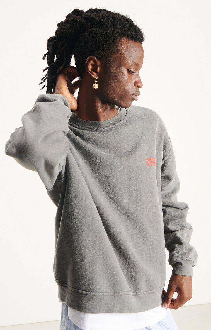 American Vintage Plizzy Sweatshirt Herren grau – Produktansicht 1